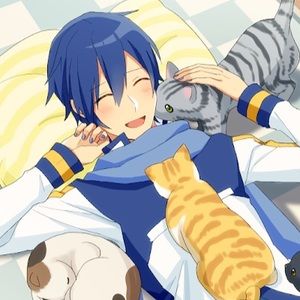 Meet your Posher, Link